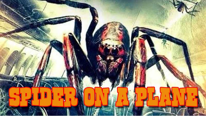 Spider on a Plane مترجم